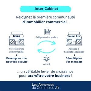 https://www.lesannoncesducommerce.fr/